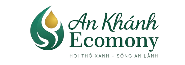 An Khánh Economy